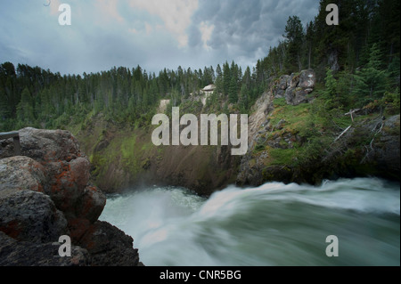 Fluss, Yellowstone-Nationalpark, Wyoming, USA Stockfoto