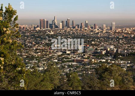 Überblick über die Innenstadt von Los Angeles aus Griffith Park, Kalifornien, USA Stockfoto