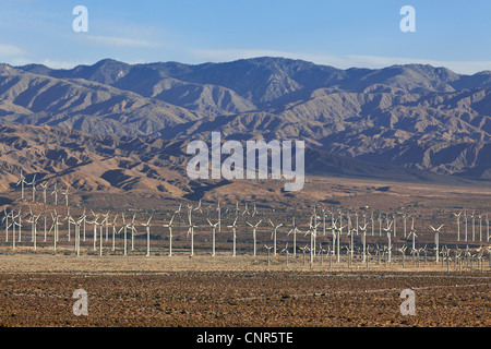 Windpark in Wüste in der Nähe von Palm Springs, Califronia, USA Stockfoto