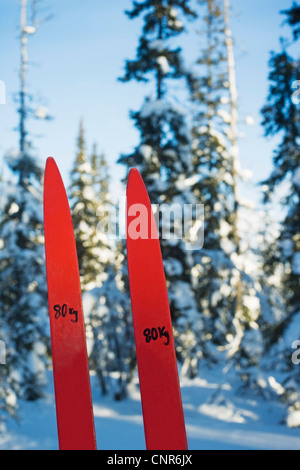 Nummerierte Beiträge in schneebedecktes Feld Stockfoto