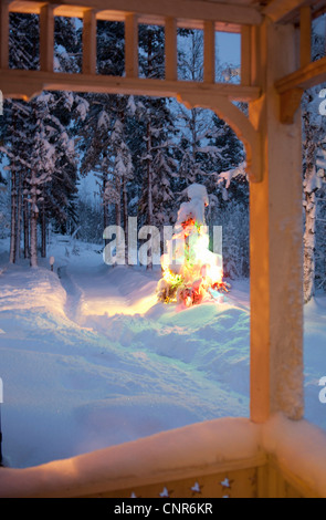 Schneebedeckte Weihnachtsbaum im freien Stockfoto