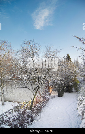 Schneebedeckte Bäume Weg Stockfoto