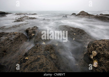 Wasser waschen über die Felsen am Strand Stockfoto