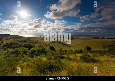 Küstenlandschaft auf Hiddensee, Deutschland, Mecklenburg-Vorpommern, Hiddensee Stockfoto