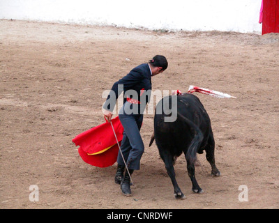 Stierkampf in der Stierkampfarena von Alcudia, Spanien, Balearen, Mallorca, Alcudia Stockfoto