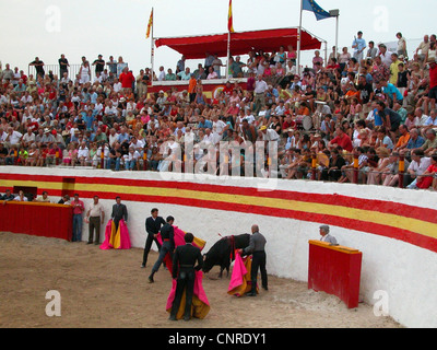 Stierkampf in der Stierkampfarena von Alcudia, Spanien, Balearen, Mallorca, Alcudia Stockfoto