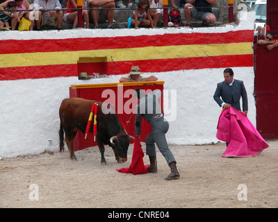 Stierkampf in der Stierkampfarena von Alcudia, Spanien, Balearen, Mallorca, Alcudia Stockfoto