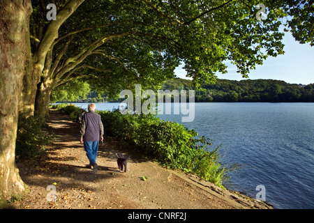 Walker mit seinem Hund auf das Ruhrtal Radweg Atz See Baldeney, Deutschland, Nordrhein-Westfalen, Ruhrgebiet, Essen Stockfoto