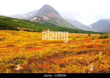 Landschaft im Herbst, USA, Alaska, Chugach Berge Alaskas Stockfoto