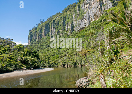 Beeindruckende Bush Walk Landschaft entlang des Pororari Flusses in Paparoa National Park, Neuseeland Stockfoto