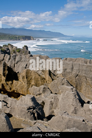 Pancake Rocks in Punakaiki auf der Südinsel von Neuseeland Stockfoto