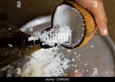 Frische Kokosnuss Raspeln Stockfoto