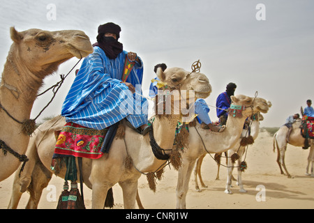 Tuareg-Männer Kamelreiten in Timbuktu, Mali. Stockfoto