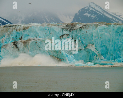 kalbende Gletscher (Monaco Gletscher), Norwegen, Svalbard, Liefdefjorden Stockfoto