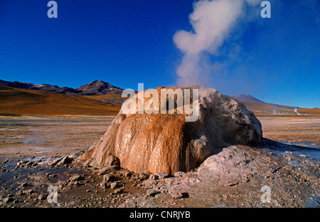 El Tatio Geysirfeld in Bolivien, Bolivien Stockfoto