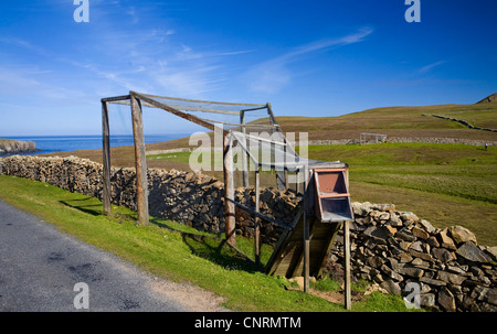 Vogel-Falle für den Fang von Sond Vögel, Fair Isle, Shetland-Inseln, Schottland, Vereinigtes Königreich Stockfoto