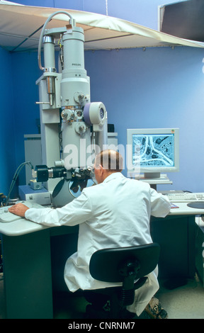 Transmissions-Elektronenmikroskop, Wissenschaftler/Forscher. Stockfoto