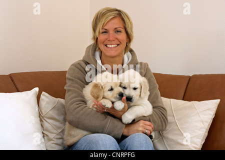 Golden Retriever (Canis Lupus F. Familiaris), junge Frau mit zwei Welpen auf die davenport Stockfoto