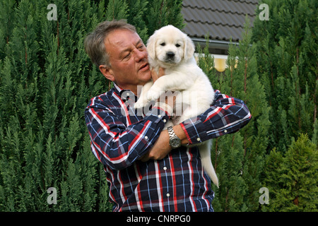 Golden Retriever (Canis Lupus F. Familiaris), Mann mit sechs Wochen alten Welpen auf dem arm Stockfoto