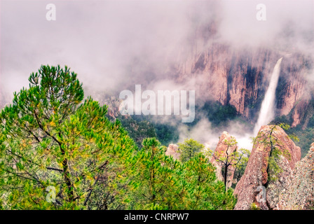 Trinken fällt in Chihuahua, Mexiko. Stockfoto