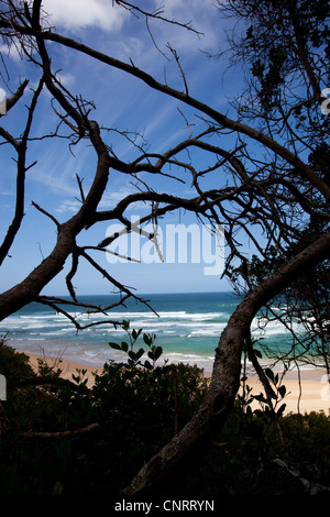 Blick auf Noetzie Strand von den Weg hinunter den Strand in Knysna, Westkap, Südafrika Stockfoto