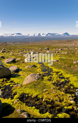 Anzeigen von Stora Sjoefallet National Park zu den Gipfeln des Sarek Nationa Park und Akkamassif, Schweden, Lappland Stockfoto