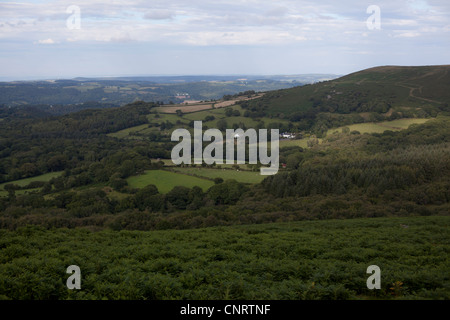 Blick auf Dartmoor von Hound Tor. Stockfoto