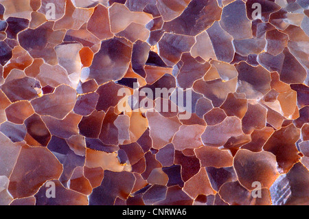 Calcit-Mosaik, Ägypten, Weiße Wüste Nationalpark Stockfoto