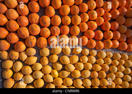 Orangen und Zitronen angezeigt machen Muster auf Zitrone Festival 2012 in Alpes-Maritimes Menton Frankreich 125122 Menton Zitrone Stockfoto