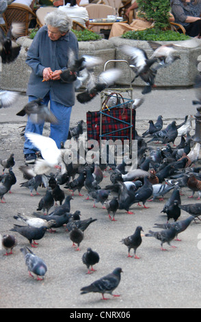 Alte Frau füttern Tauben am Platz der Republik in Belgrad, Serbien. Stockfoto