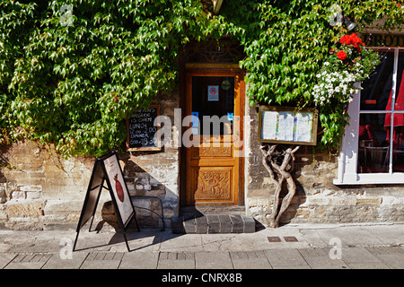 Alte geschnitzte Holztür umgeben von wildem Wein, Brothertons shop, Woodstock, Oxfordshire, Vereinigtes Königreich Stockfoto