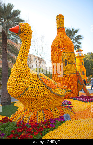 Orangen und Zitronen Struktur in Menton Zitronenfest Darstellung Bordeaux Region von Frankreich in Menton Bioves-Gärten Jardin Stockfoto