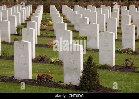 Commonwealth Kriegsfriedhof, Cannock Chase, Staffordshire. Stockfoto