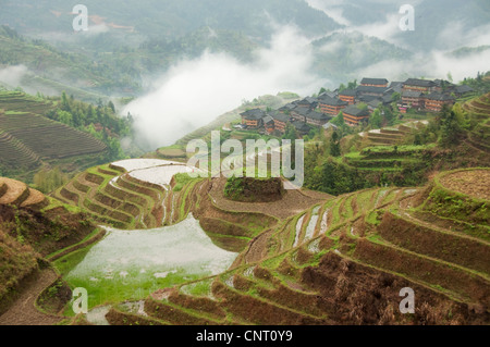 Da Zhai Dorf unter den Wolken und bewässerten Reisterrassen Stockfoto