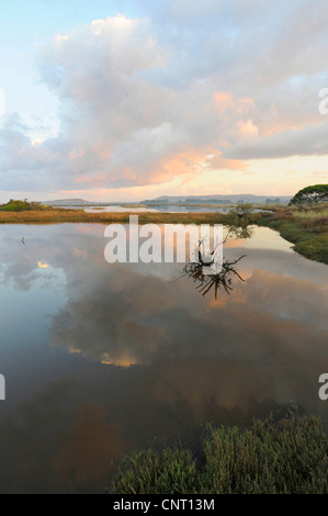 Morgen-Landschaft mit Wolken spiegeln sich im Wasser der Lagune, Griechenland, Peloponnes Stockfoto