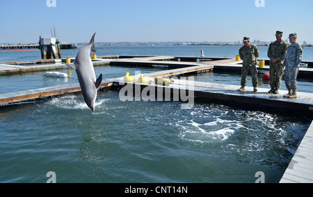 Vorsitzender der Joint Chiefs Of Staff General Martin E. Dempsey besucht die Navy Marine Mammal Program und erhält eine Tour von Seglern, Explosive Ordnance Mobile Abfallbehälter 12. März 2012 in Coronado, Kalifornien zugewiesen. Die Navy marine Mammal Program nutzt Seelöwen und Delfine zu markieren und Objekte abrufen Stockfoto