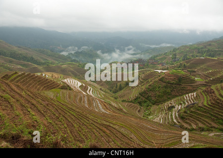 Da Zhai Dorf unter den Wolken und bewässerten Reisterrassen Stockfoto