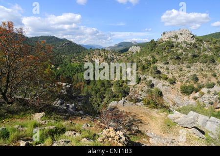 Berglandschaft im Naturpark Sierra de Cazorla, Spanien, Andalusien, Naturpark Sierra de Cazorla Stockfoto