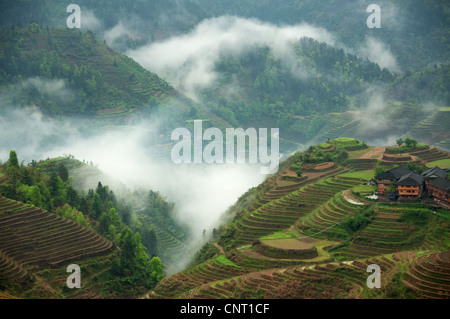 Da Zhai Dorf unter Wolken und Reisterrassen Stockfoto