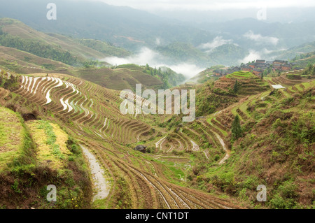 Da Zhai Dorf unter Wolken und Reisterrassen Stockfoto