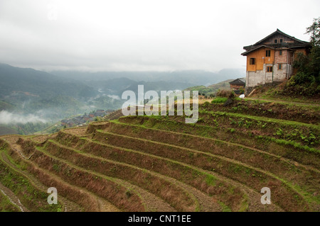 Da Zhai Dorf unter Wolken und Reisterrassen Stockfoto