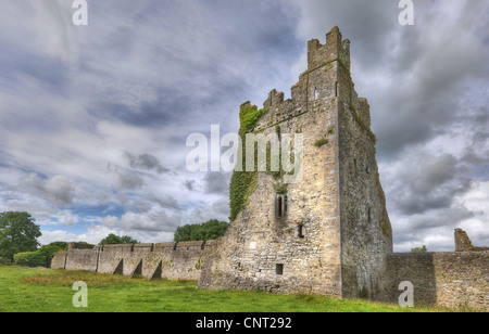 Eine alte Norman Kaste in der Nähe der historischen Stadt Kilkenny in Irland Stockfoto