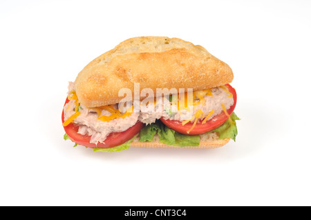 Thunfisch schmelzen Sandwich auf ein Ciabatta-Brötchen Stockfoto