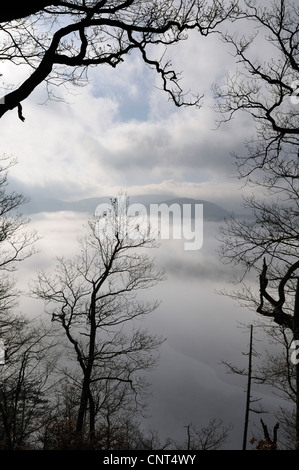 Morgen-Stimmung an einem nebeligen Wintertag am See Edersee, Naturschutzgebiet Kahle Haardt, Deutschland, Hessen Stockfoto
