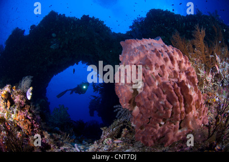 Ein Taucher schaut sich auf einem riesigen Fass Schwamm durch einen Torbogen, Vater Riff, Kimbe Bay, Papua-Neu-Guinea. Stockfoto