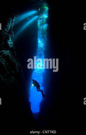 Ein Taucher untersucht die erstaunliche Unterwasser Höhle bekannt als Lerus Schnitt, Russell-Inseln, Salomonen. Stockfoto