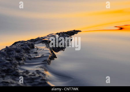 Linie der Schlamm Bildung und Wasser Reflexionen am Strand bei Sonnenuntergang, Norwegen, Tröndelag, Mittelnorwegen, Flatanger Lauvsnes Stockfoto