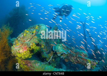 Ein Kriegsschiff der japanischen Maru versenkt im 2. Weltkrieg, Morovo Lagune, Salomon-Inseln. Stockfoto