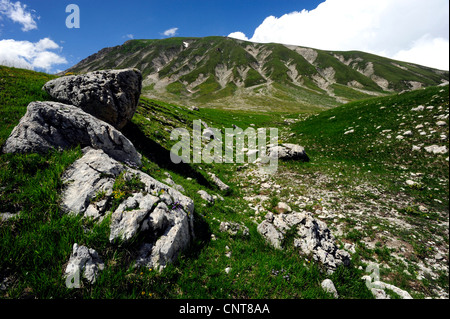 sonnenbeschienene Berge Landschaft mit trockenen Wiesen und Rock mit weißen Wolken hinter Italien, Nationalpark Abruzzen Stockfoto