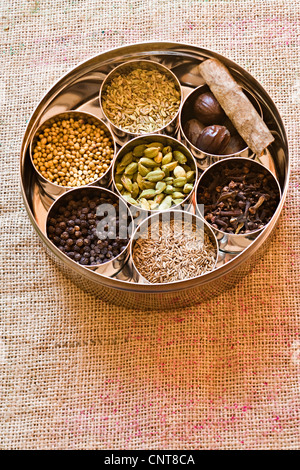 Zutaten für Garam masala Stockfoto